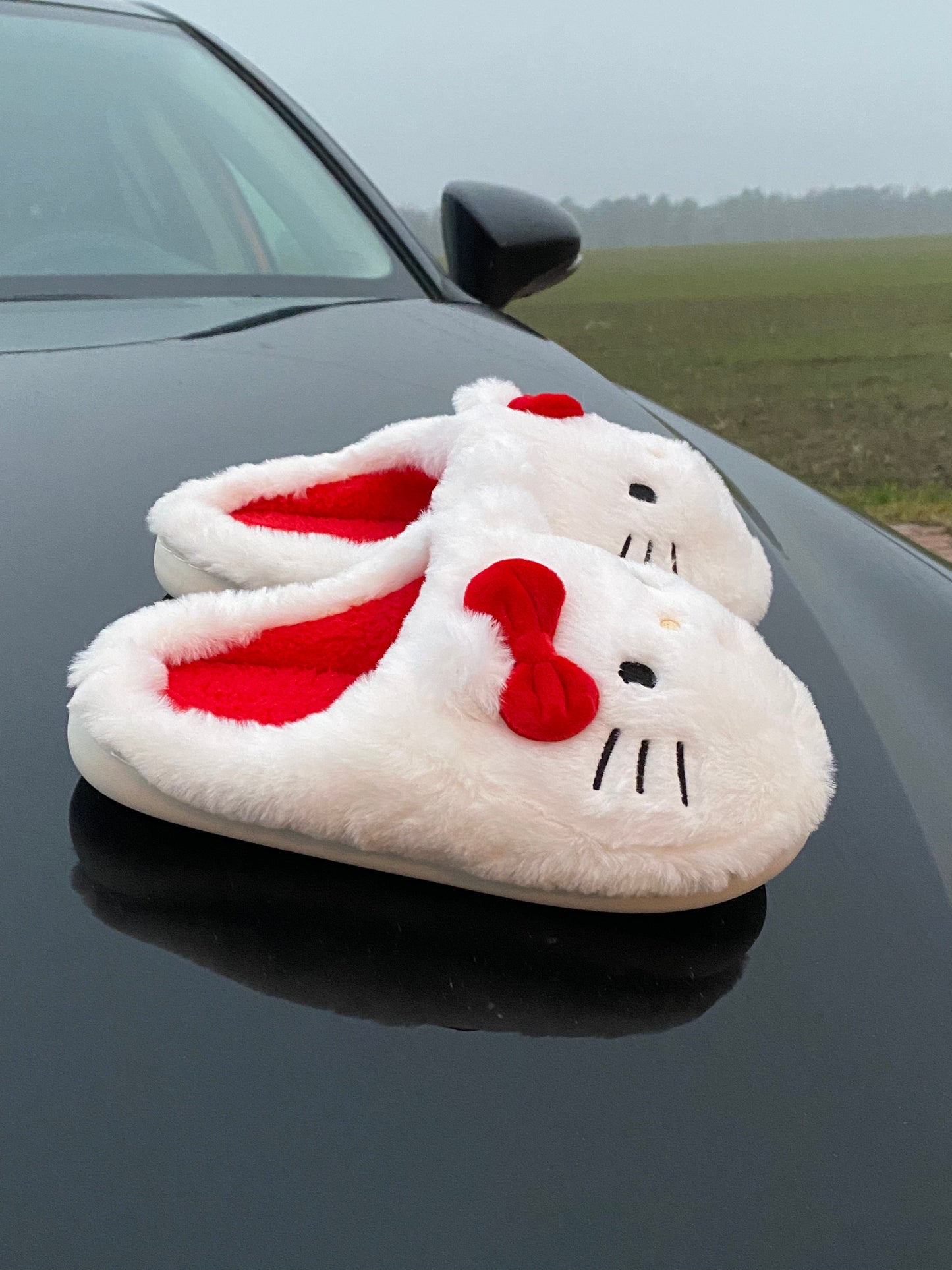 HELLO KITTY SLIPPERS